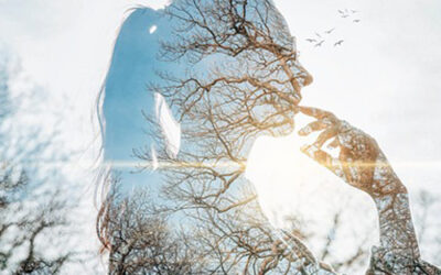 What Do I Do When I’ve Lost Touch with My Voice, My Dreams, and What I Actually Want?