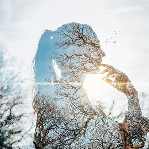 What Do I Do When I’ve Lost Touch with My Voice, My Dreams, and What I Actually Want?